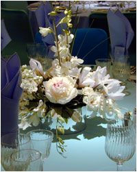 centerpiece image